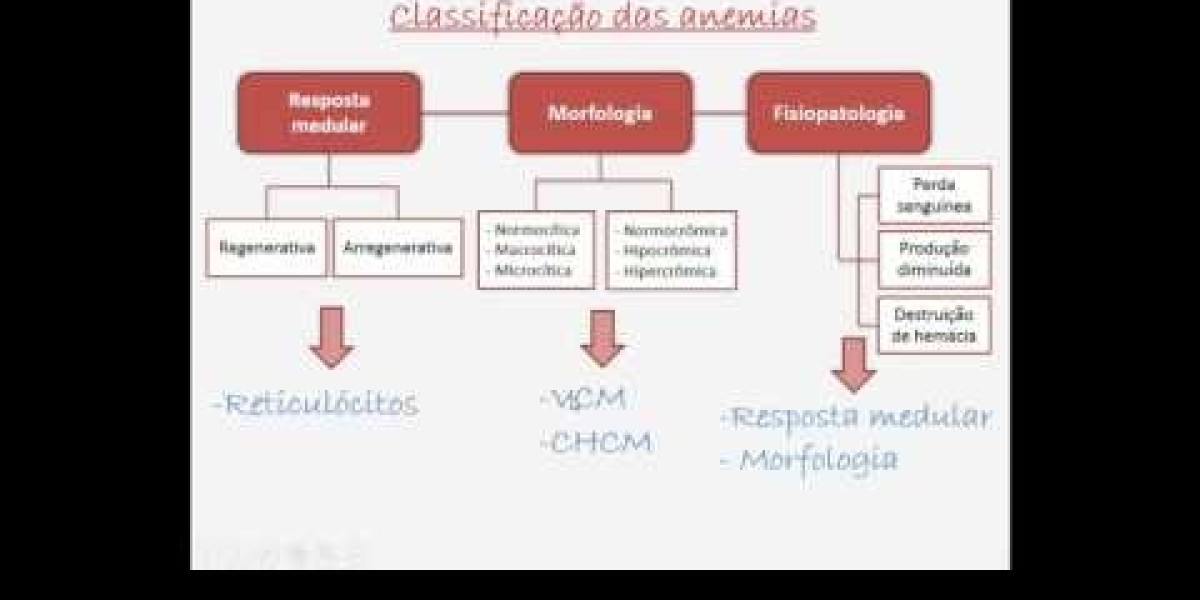 Complete blood count interpretation cells and numbers Proceedings